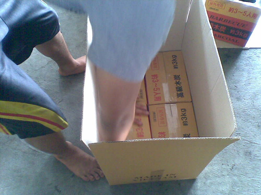 put inner carton in master carton