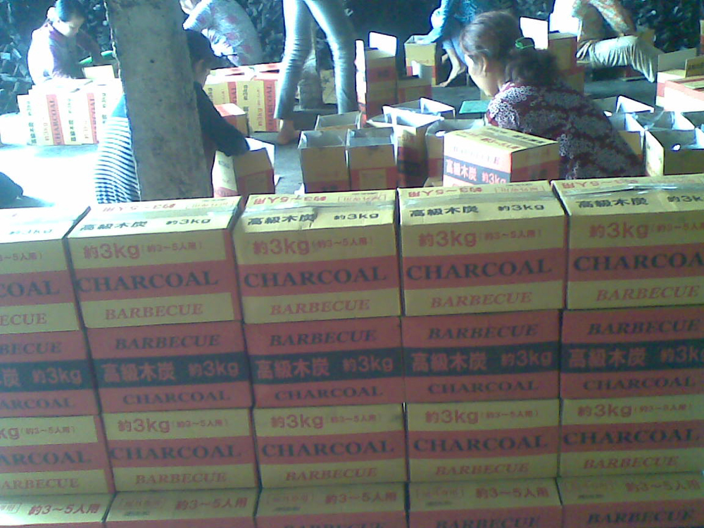 inner carton