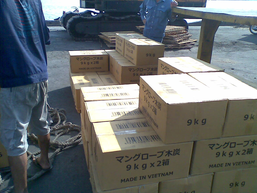 master carton 9kg x 2